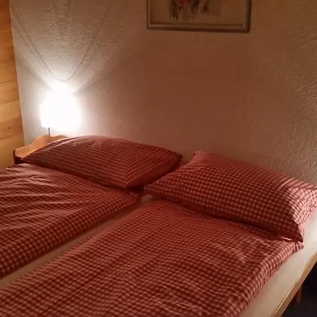 Hotel Baren *